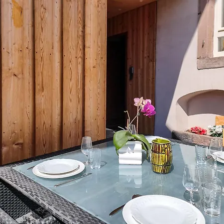 - T2 - Terrasse & Parking - Route Des Vins D'alsace Dambach