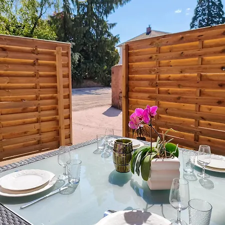 - T2 - Terrasse & Parking - Route Des Vins D'alsace Dambach